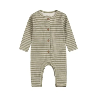 Abbildung von Dirkje Boys 1 PCE Babysuit Organic Cotton and Elastane Light Faded Green Size 62