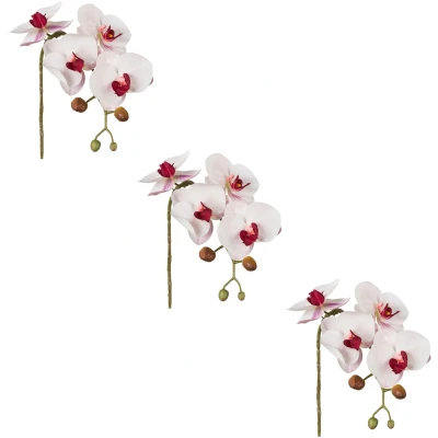 Abbildung von Creativ green Kunstblume &quot;Phalaenopsis 3D print&quot;, mit Real Touch Blüten