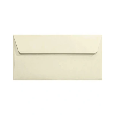 Abbildung von Netuno 500 Ecru gerippte Briefumschläge DIN lang ohne Fenster 11 x 22 cm 120g Aster Laid Ivory Elfenbein Briefhüllen DL haftklebend Einladungsumschläge hochwertig für Hochzeit Geburtstag Weihnachten