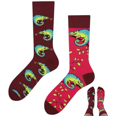 Abbildung von TODO Lustige Chamäleon Socken Damen und Herren, Motiv Echse (39 42, Kameleon)