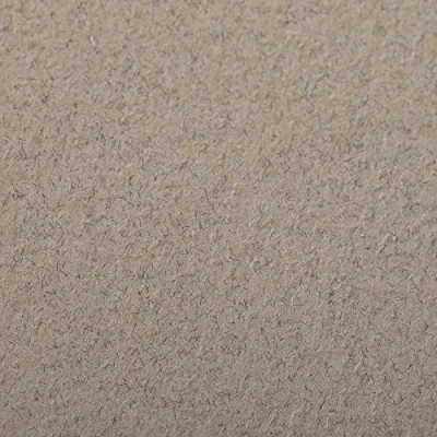 Abbildung von Clairefontaine 90856C Packung (mit 5 Bögen Zeichenpapier Etival Color, DIN A4, 21 x 29,7 cm, 160g, gekörnt, ideal für Trockentechnik und Einrahmen) champagner