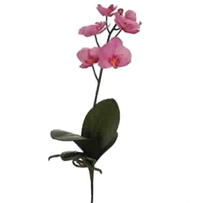 Abbildung von Dadeldo Living &amp; Lifestyle Kunstblume Seidenblumen Orchidee Stiel 47cm Lavender