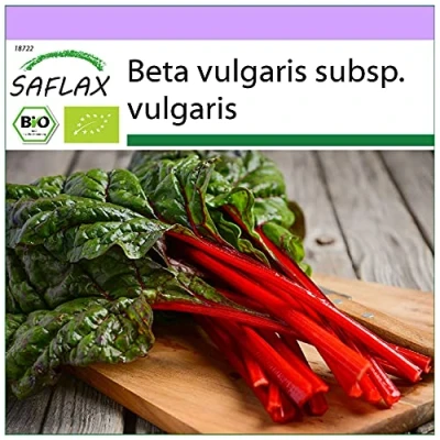 Abbildung von SAFLAX BIO Mangold Rhubarb 50 Samen Beta vulgaris