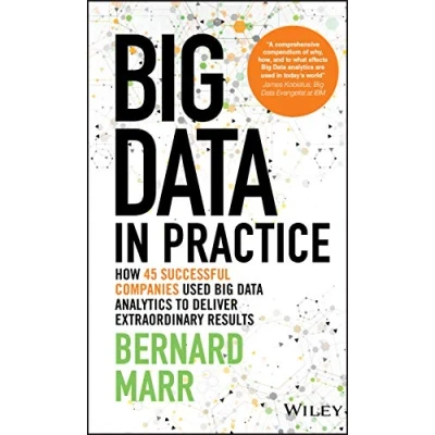 Abbildung von Big Data in Practice: How 45 Successful Companies Used Analytics to Deliver Extraordinary Results