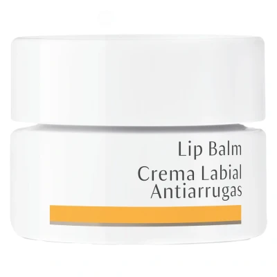 Abbildung von Dr. Hauschka Lippenbalsam 4,5 ml