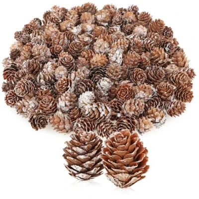 Abbildung von com four® 200x Dekozapfen Lärche Streudeko für Herbst und Winter Zapfendeko kleine Lärchenzapfen Tannenzapfen (200x weiß)