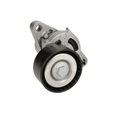 Abbildung von INA 534 0271 10 Spannarm, Keilrippenriemen RENAULT: LAGUNA 2, 2 Grandtour, Kangoo II Express, DACIA: Duster SUV, Sandero I