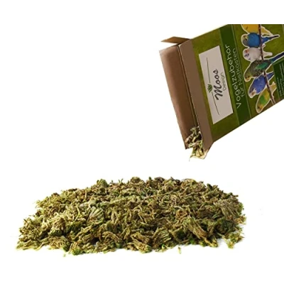 Abbildung von Moos Design Einstreu Terrarium Bodengrund (125g) (1 tlg)