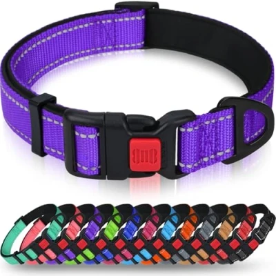 Abbildung von Taglory Hundehalsband, Weich Gepolstertes Neopren Nylon Hunde Halsband für Kleine Hunde, Verstellbare und Reflektierend das Training, Lila