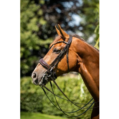Abbildung von HB Showtime Stang en Trens Hoofdstel Special for YouVerkauft von HypoStore