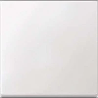 Abbildung von Schneider Electric Merten 434119 Wippe für Schalter, polarweiß, System M