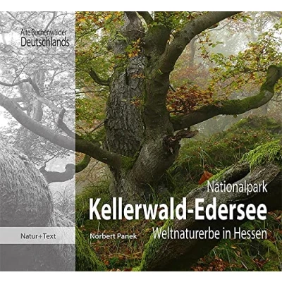 Abbildung von Nationalpark Kellerwald Edersee: Weltnaturerbe in Hessen (Alte Buchenwälder Deutschlands)