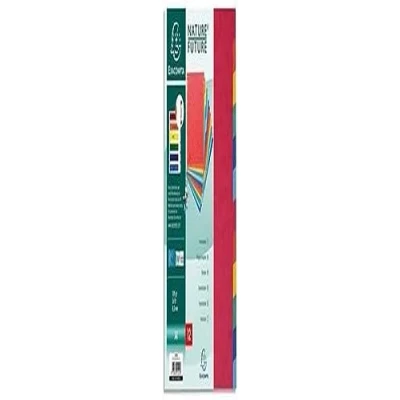 Abbildung von Exacompta 99H Premium Register Nature Future für DIN A4 aus extra starkem Colorspankarton 12 teilig volle Höhe 21 x 29,7 cm vollfarbig 2 6 Farben mit Indexseite zum selbstgestalten Trennblätter