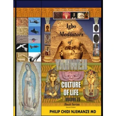 Abbildung von Igbo Mediators of Yahweh Culture Life Volume II: Learn to Read Egyptian Hieroglyphics and UFO Writings