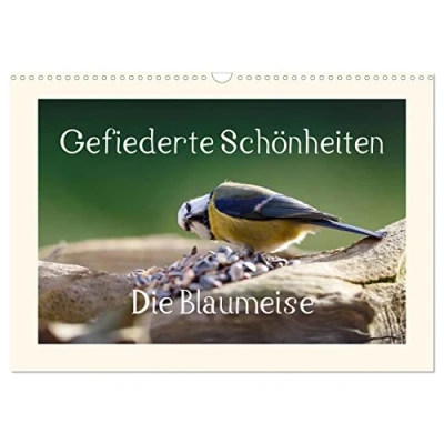 Abbildung von Gefiederte Schönheiten Die Blaumeise (Wandkalender 2025 DIN A3 quer), CALVENDO Monatskalender