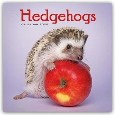 Abbildung von Hedgehogs Igel 2025 Wand Kalender: Original Carousel Kalender [Mehrsprachig] [Kalender]