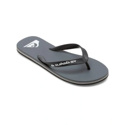 Abbildung von Quiksilver Molokai CORE Zehentrenner, Herren, Größe: 40, Grey Kunststoff