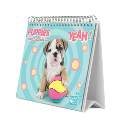 Abbildung von Grupo Erik Kalender 2025 Tischkalender Studio Pets Dogs Hunde Familienplaner zum Aufstellen 20 x 17 cm Jahreskalender