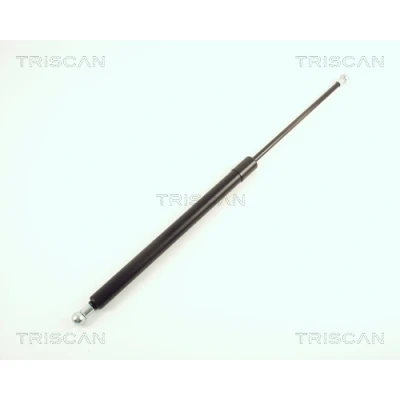 Abbildung von TRISCAN 8710 29262 Heckklappendämpfer 530 490 AUDI: A4 B7 Avant, B6 Avant