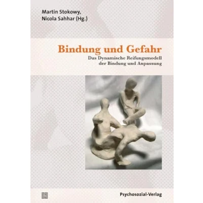 Abbildung von Bindung und Gefahr: Das Dynamische Reifungsmodell der Anpassung (Therapie &amp; Beratung)