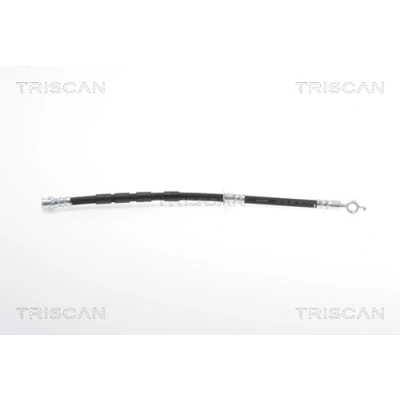 Abbildung von TRISCAN 8150 16298 Bremsschläuche F10x1 FORD: FIESTA 6