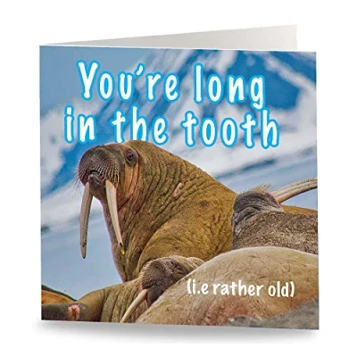 Abbildung von Maturi Lustige Grußkarte, Motiv Long in the Tooth, innen blanko