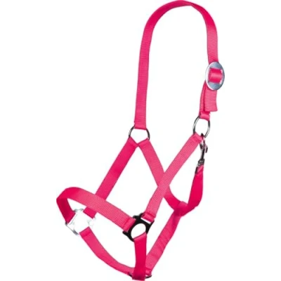 Abbildung von Pferd Halfter Stars Economy Softice neon pink
