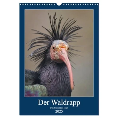 Abbildung von Der Waldrapp etwas andere Vogel (Wandkalender 2025 DIN A3 hoch), CALVENDO Monatskalender