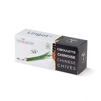 Abbildung von Véritable® Lingot® Knoblauch Schnittlauch Bio Kompatibel mit Indoor Garten und Exky® Gebrauchsfertige Nachfüllung Substrat integrierten Samen