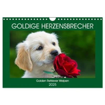 Abbildung von Goldige Herzensbrecher Golden Retriever Welpen (Wandkalender 2025 DIN A4 quer), CALVENDO Monatskalender