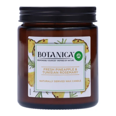 Abbildung von Air Wick Botanica Caribbean vetiver &amp; Sandalwood Candle 120 g