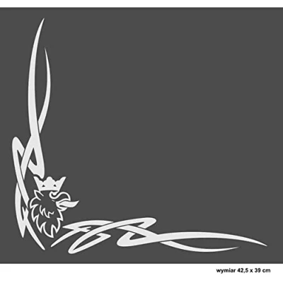 Abbildung von Avisa Auto Tattoo Aufkleber Scania 2 Stück 38x13cm