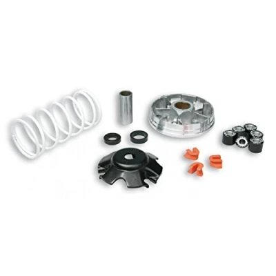 Abbildung von MALOSSI Variator Multivar 2000 für Piaggio 50ccm ab 98 Runner, NRG Extreme, D.N.A, Gegendruckfeder: weiß, Gewichte: 19x15,5