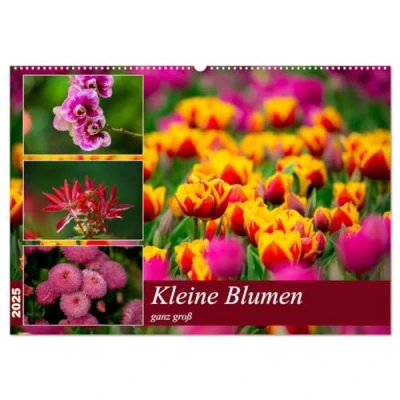 Abbildung von Kleine Blumen ganz groß (Wandkalender 2025 DIN A2 quer), CALVENDO Monatskalender