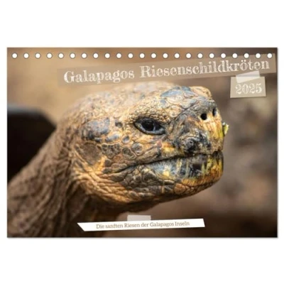 Abbildung von Die Riesenschildkröten der Galapagos Inseln (Tischkalender 2025 DIN A5 quer), CALVENDO Monatskalender