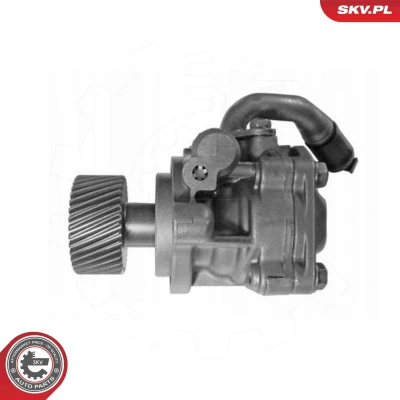 Abbildung von Hydraulikpumpe, Lenkung ESEN SKV 10SKV323