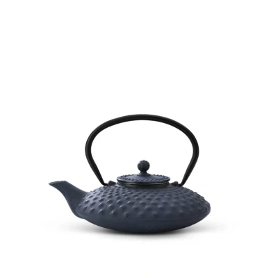 Abbildung von Bredemeijer Flache Blaue gusseiserne Teekanne 0.8 Liter Xilin mit Edelstahlfilter