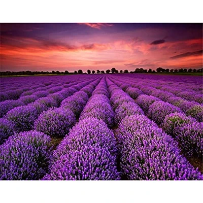 Abbildung von DIY 5D Diamond Painting Set Malen nach Zahlen Sonnenuntergang Lavendelfeld Full Diamant Bilder Kit für Erwachsene,Kristall Stickerei Kreuzstich Arts Home Canvas Wall Decor 40x50cm/16x20in