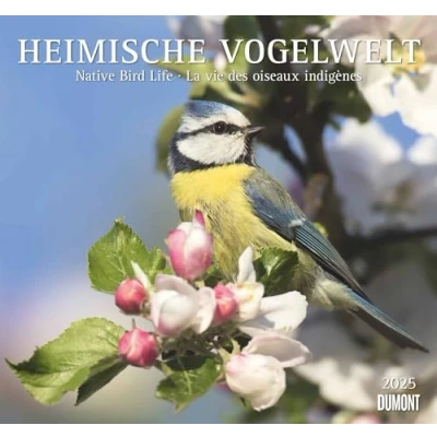 Abbildung von DUMONT Heimische Vogelwelt 2025 Wandkalender, 38x35,5cm, Kalender mit beeindruckenen Aufnahmen der Vogelwelt, den wichtigsten Feiertagen