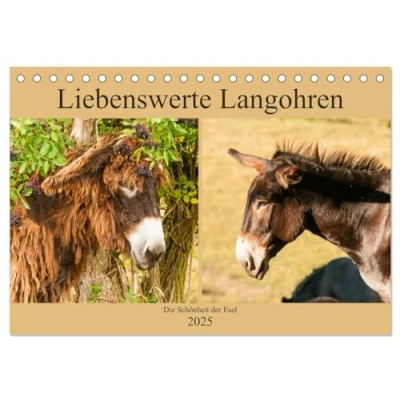 Abbildung von Liebenswerte Langohren Die Schönheit der Esel (Tischkalender 2025 DIN A5 quer), CALVENDO Monatskalender