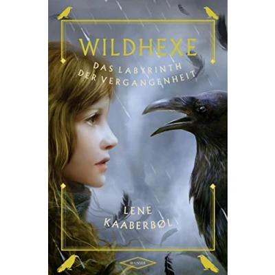 Abbildung von Wildhexe Das Labyrinth der Vergangenheit (Wildhexe, 5, Band 5)