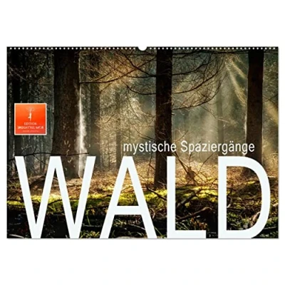 Abbildung von Wald mystische Spaziergänge (Wandkalender 2025 DIN A2 quer), CALVENDO Monatskalender