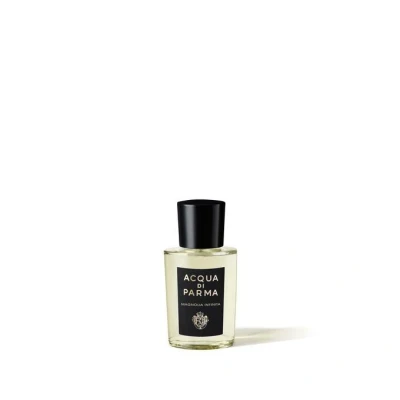 Abbildung von Acqua Di Parma Magnolia Infinita Eau de Parfum 20 ml