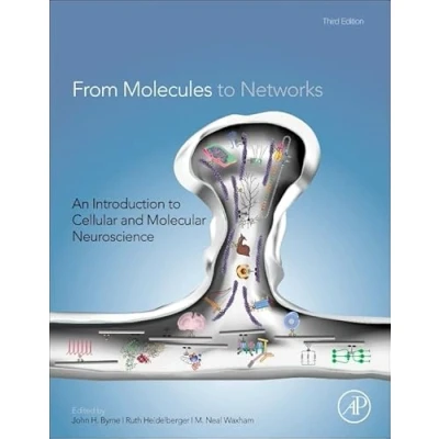 Abbildung von From Molecules to Networks: An Introduction Cellular and Molecular Neuroscience
