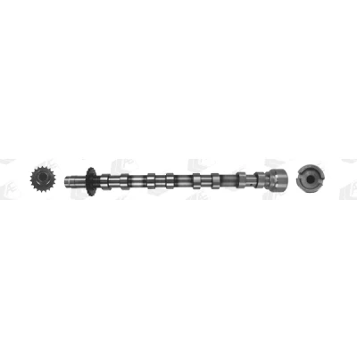 Abbildung von AE CAM1019 Nockenwelle Auslassseite FORD: Grand C Max, FOCUS 3 Turnier, Galaxy Mk2 MPV, PEUGEOT: 3008 I, 5008 308 I SW, CITROËN: C4 Picasso 1