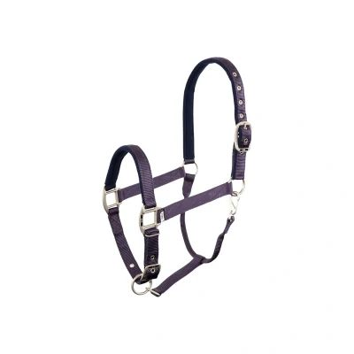 Abbildung von BR Halter Event Pony Violett