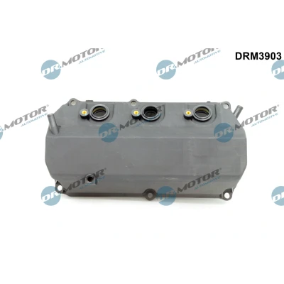 Abbildung von Saugrohrmodul Dr.Motor Automotive DRM3903