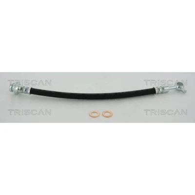 Abbildung von TRISCAN 8150 14376 Bremsschläuche F10x1 NISSAN: Patrol GR 5 SUV