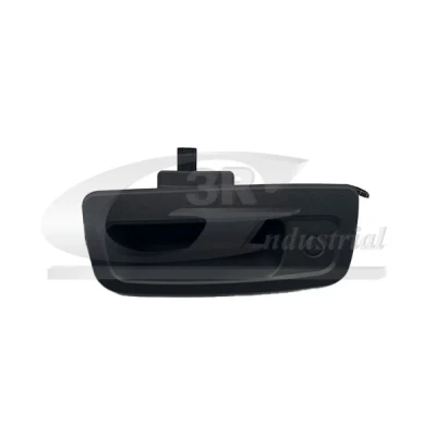 Abbildung von 3RG 69623 Türgriff hinten RENAULT: Kangoo I, II Express, / Grand