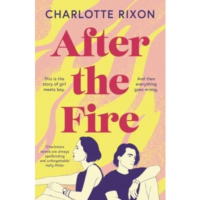 Abbildung von After the Fire: A heartbreaking story of first love and second chances, perfect for fans One Day by David Nicholls